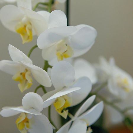 Mh 805 Apartment Венеция Екстериор снимка